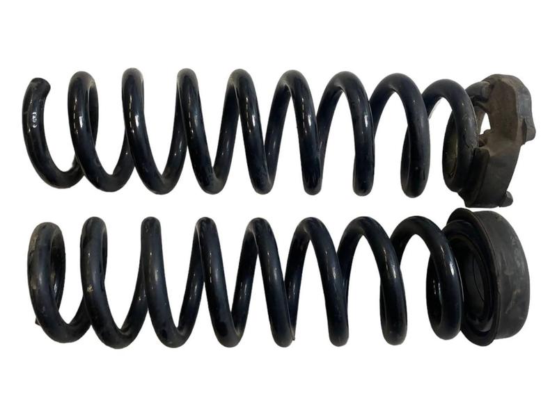 6790118 Muelle helicoidal trasero X1 E84