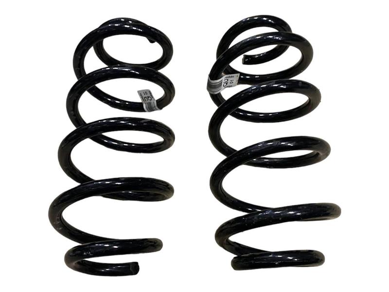 6872296 Muelle helicoidal trasero X1 F48